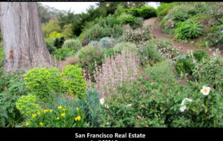 San Francisco Real Estate April 2024 Report