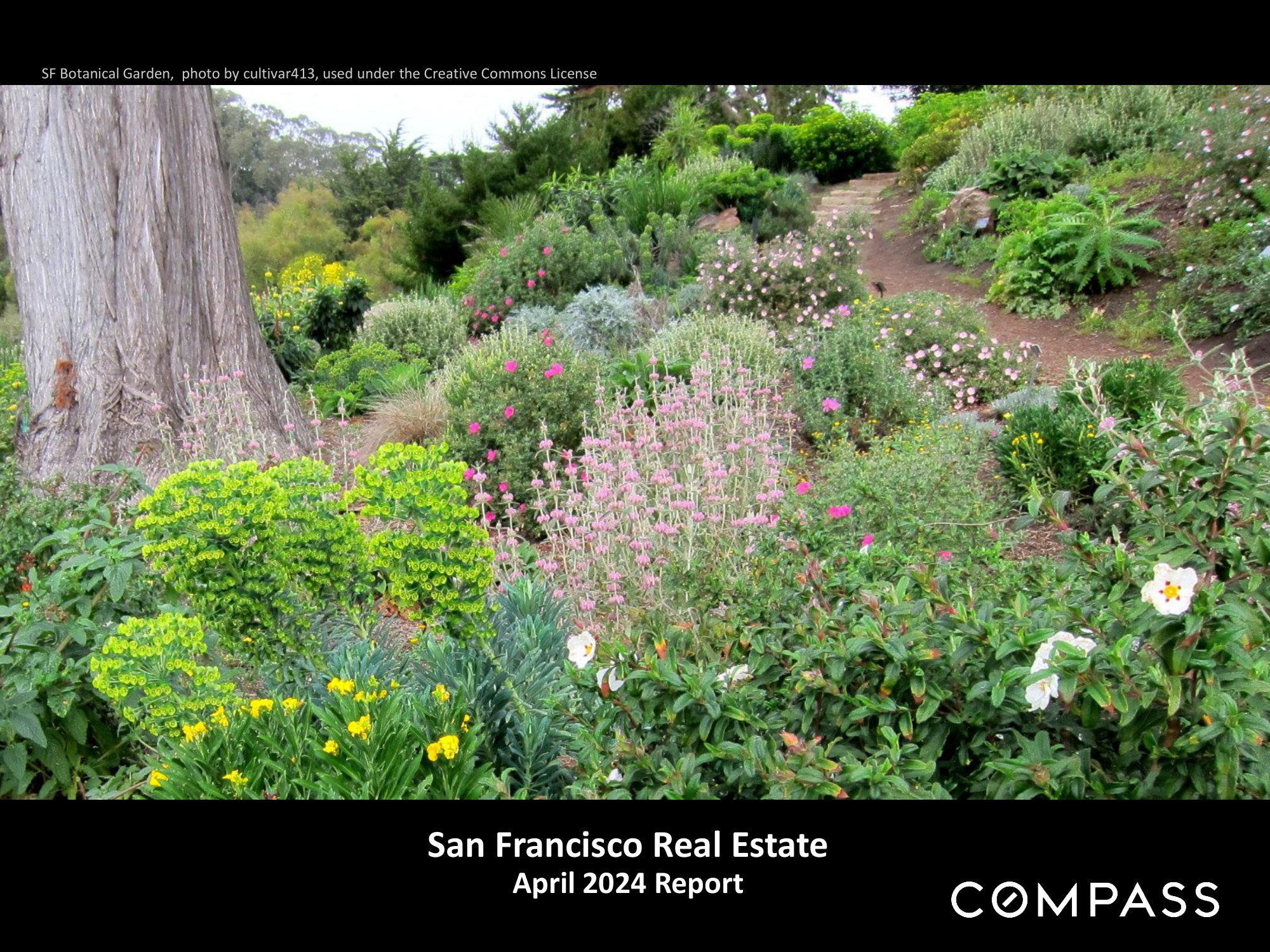 San Francisco Real Estate April 2024 Report